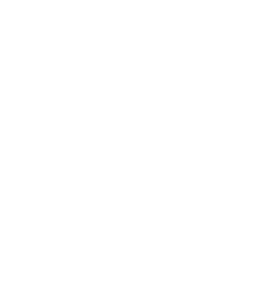 The Lake Home